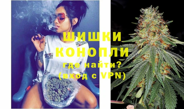 сатива Карталы