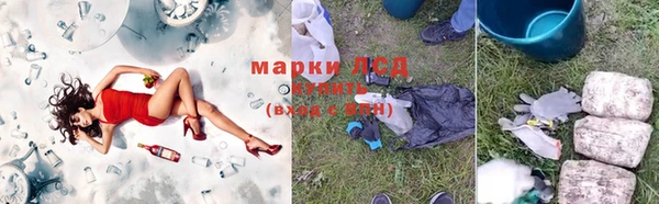 spice Карпинск