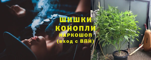 ПСИЛОЦИБИНОВЫЕ ГРИБЫ Киреевск